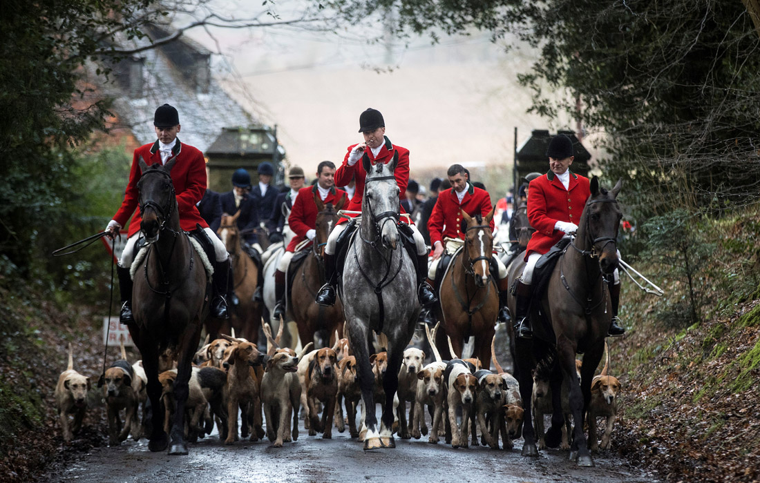 В Великобритании состоялись традиционные встречи охотничьих клубов