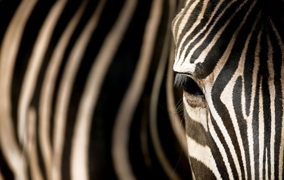 Лучшие фото недели