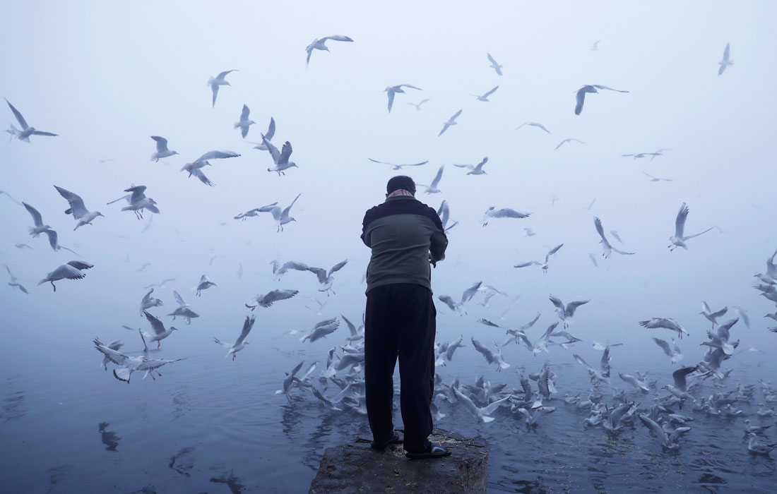 Столицу Индии Нью-Дели накрыл плотный туман