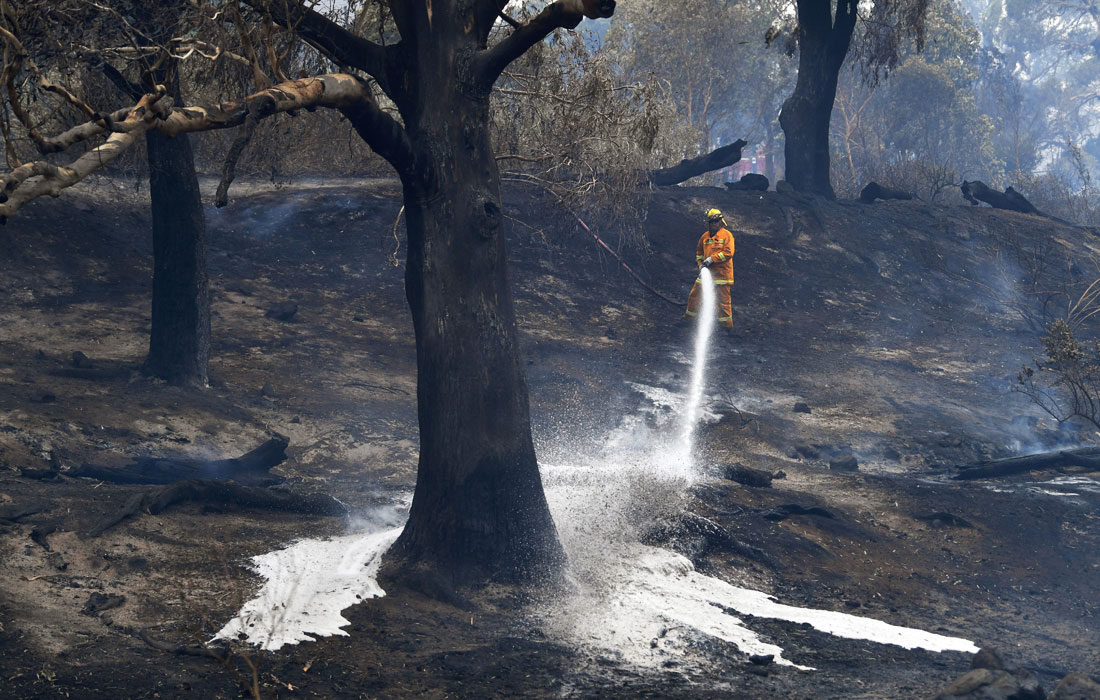 В австралийском штате Виктория эвакуируют жителей и туристов из-за усиливающихся лесных пожаров
