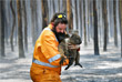 Житель Австралии держит коалу, которую он спас в горящем лесу у мыса Борда на острове Кенгуру
