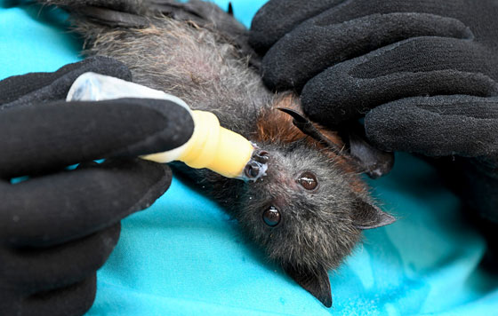 Фотохроника 14 января