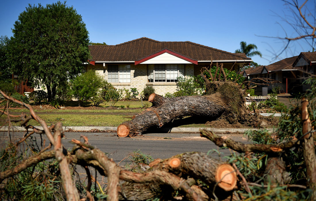 На Сидней обрушился сильный ураган, сопровождающийся штормовыми ветрами. Стихия в Новом Южном Уэльсе оставила без электричества более 2200 домов.
