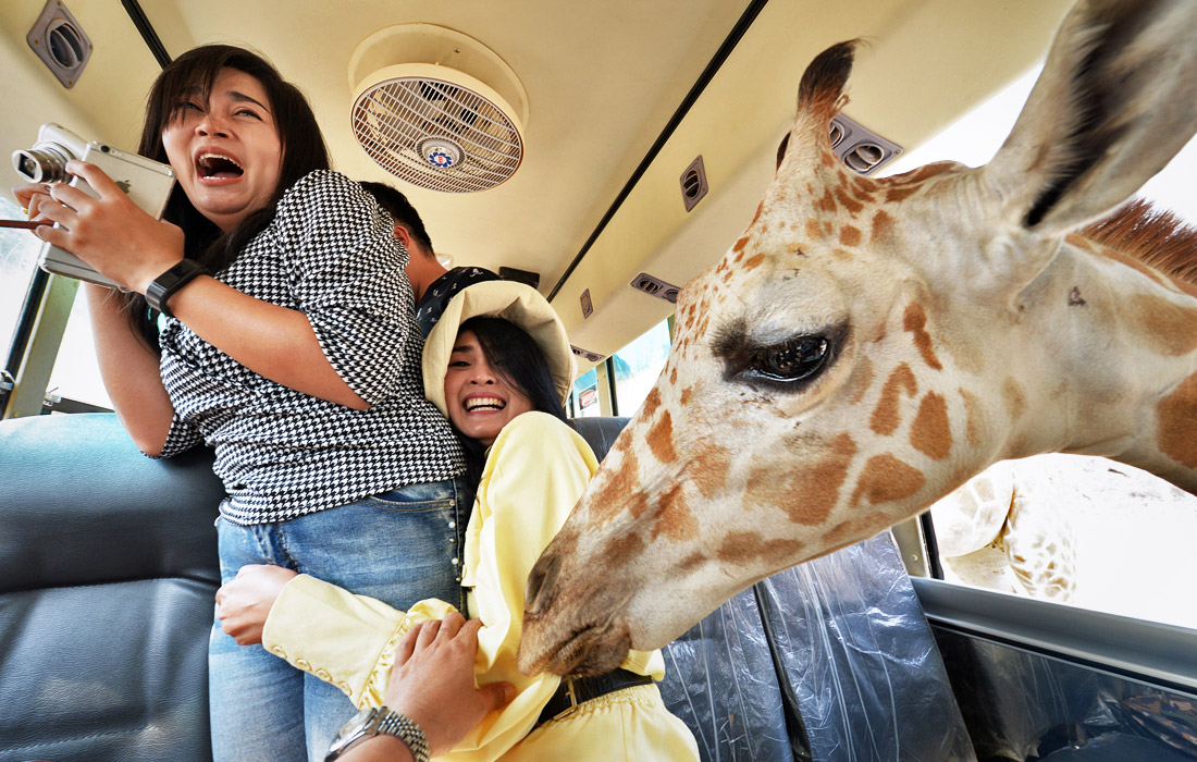 Туристы в сафари-парке в провинции Канчанабури, Таиланд