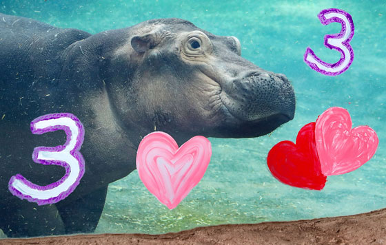 Фотохроника 24 января