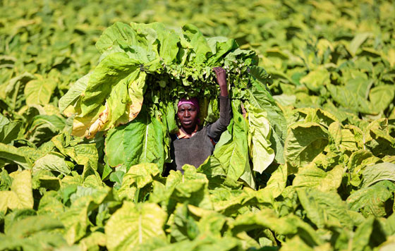 Лучшие фото недели