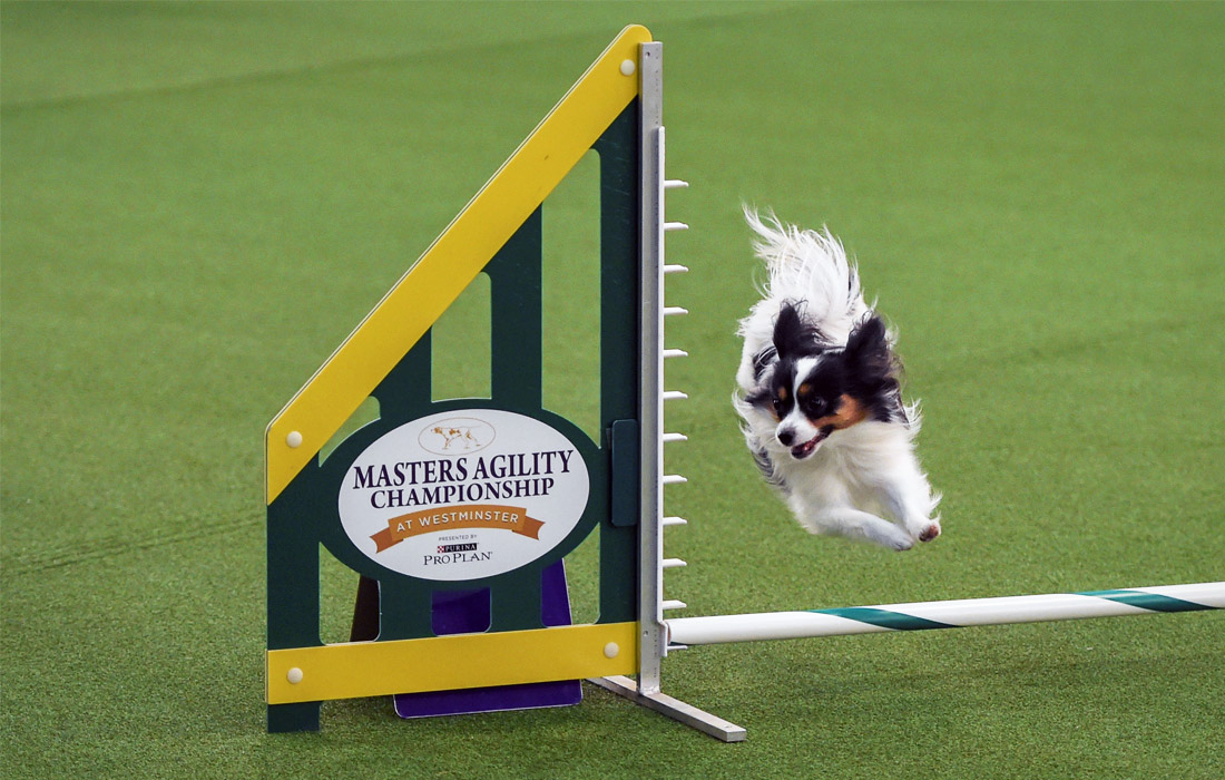 Участник соревнований преодолевает полосу препятствий