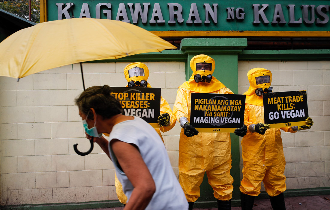В Маниле активисты PETA провели акцию протеста против употребления мяса в пищу. Зоозащитники призывали людей становиться вегетарианцами, чтобы защитить себя от смертельных болезней.