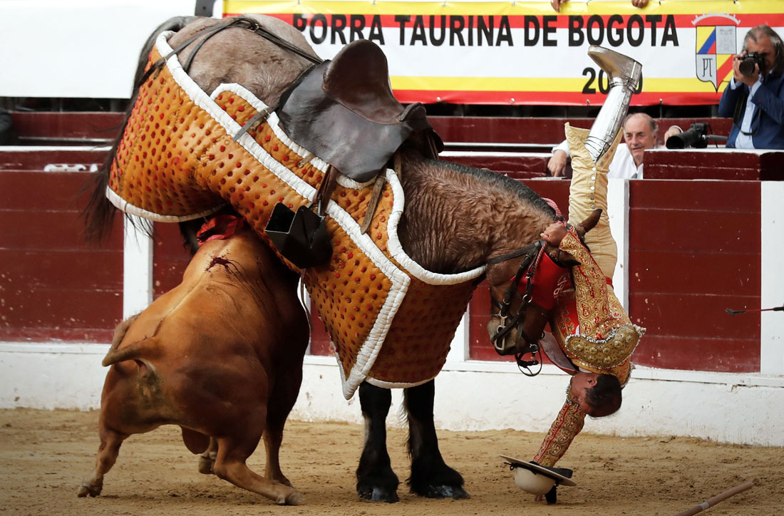 Сезон корриды в Боготе, Колумбия