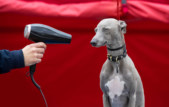 Фотохроника 5 марта