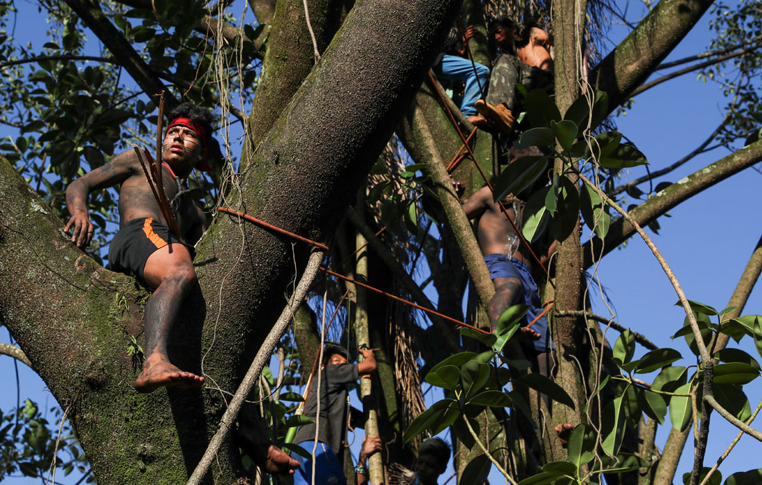 Представители одного из племен вышли протестовать против вырубки лесов и строительства жилого комплекса недалеко от их родных земель в бразильском Сан-Паулу