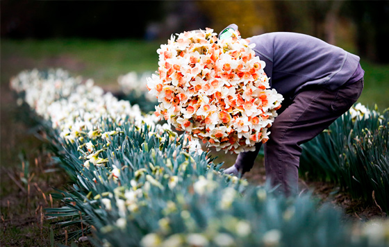 Фотохроника 23 марта
