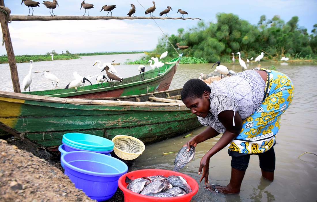 Торговля рыбой на пляже в Кисуму, Кения