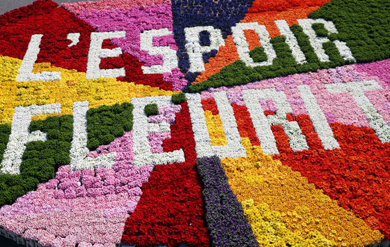 Фотохроника 26 марта