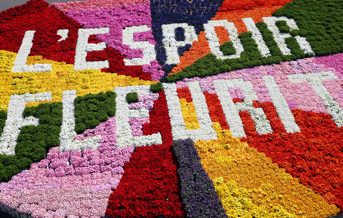 Голландские садовники сделали послание из цветов "Надежда процветает", с помощью которого хотели сказать, что во время кризиса надежда остается. Текст на французском языке адресован международным заказчикам, которые временно не получают цветы из-за прекращения экспорта.