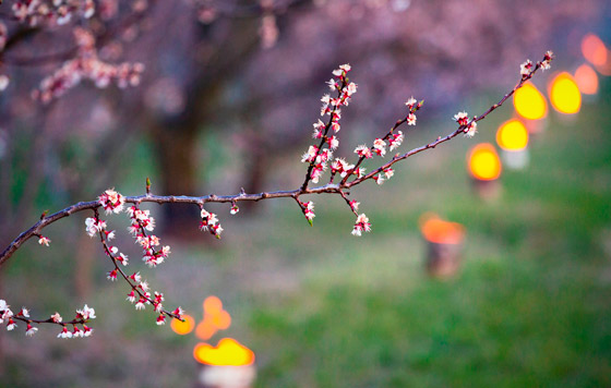 Фотохроника 31 марта