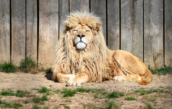 Фотохроника 1 апреля