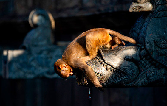 Лучшие фото недели