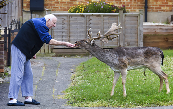 Фотохроника 3 апреля