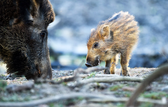 Фотохроника 6 апреля