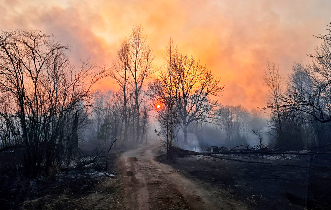В зоне отчуждения Чернобыльской АЭС возник лесной пожар на площади 20 гектаров. По предварительной информации, причиной пожара стал поджог.