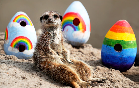 Фотохроника 10 апреля