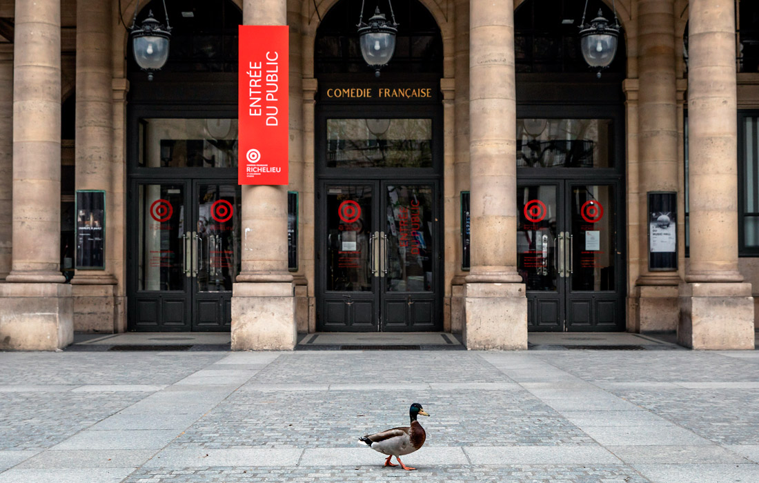 По опустевшему Парижу прогуливаются утки