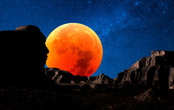 Лучшие фото недели