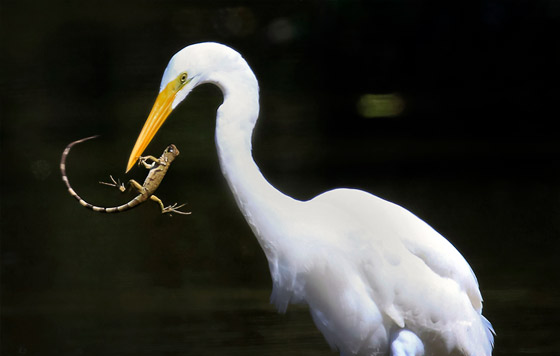 Фотохроника 23 апреля