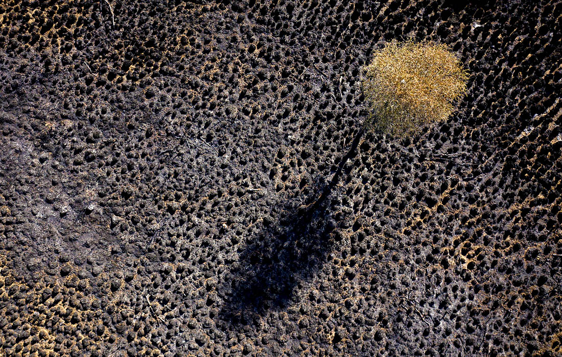 Лесной пожар в природном парке Deurnese Peel стал крупнейшим в Нидерландах за последние сорок лет