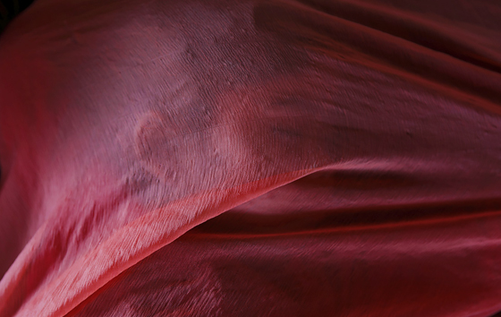 Лучшие фото недели