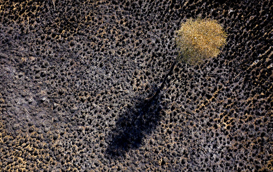 Фотохроника 24 апреля