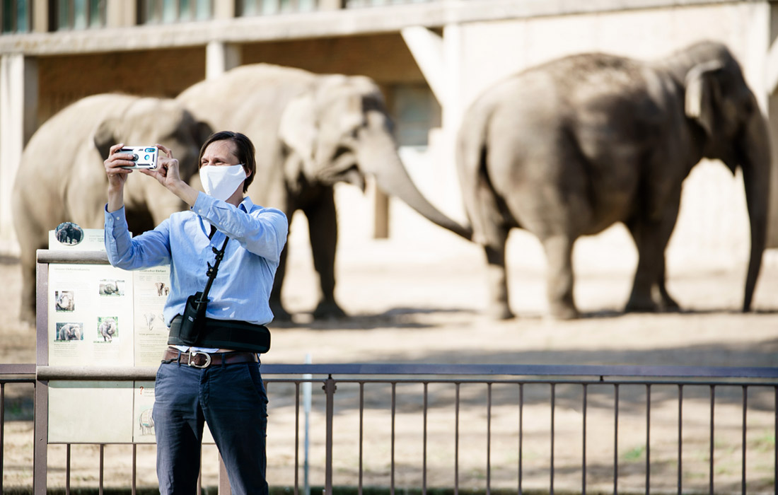 Берлинский зоопарк открылся после постепенного снятия ограничений из-за коронавируса