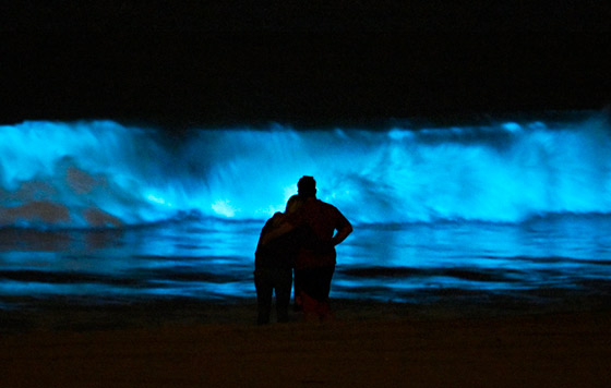 Неоновые волны океана в Калифорнии