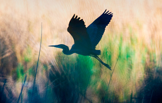 Лучшие фото недели