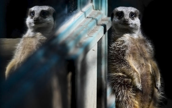 Лучшие фото недели