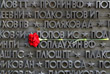 Гвоздика у памятника Неизвестному Солдату в Новосибирске