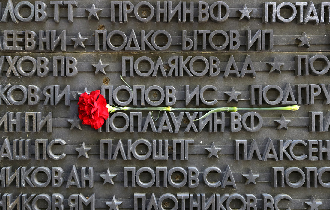 Гвоздика у памятника Неизвестному Солдату в Новосибирске