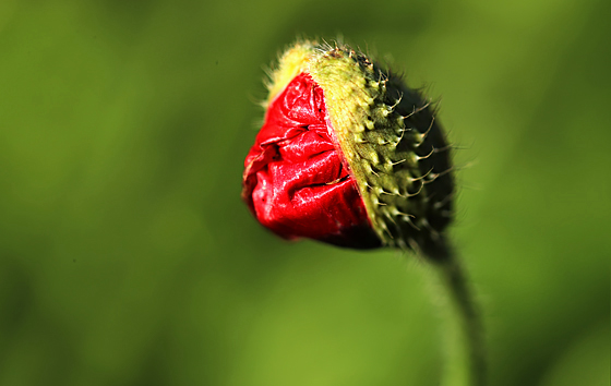 Фотохроника 12 мая