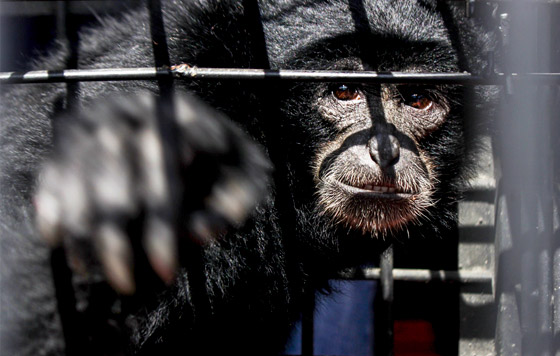 Фотохроника 13 мая