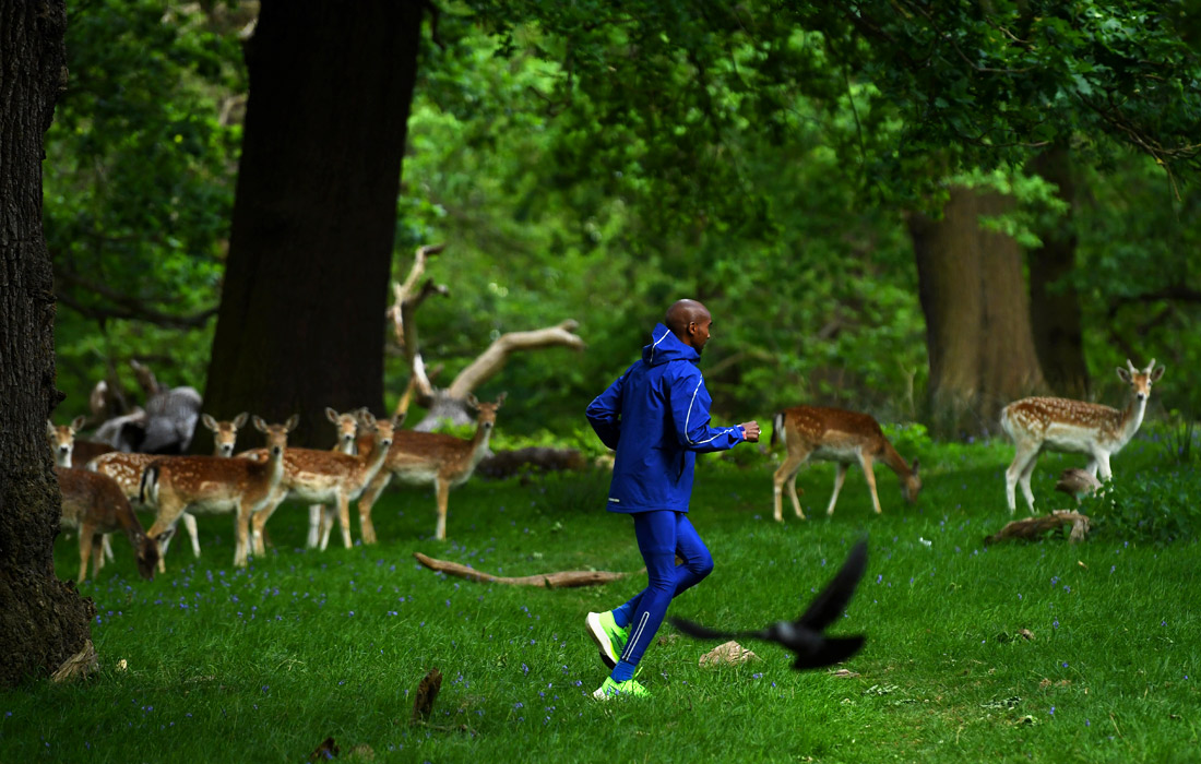 Олимпийский чемпион в беге на длинные дистанции Мо Фара во время тренировки в парке Лондона