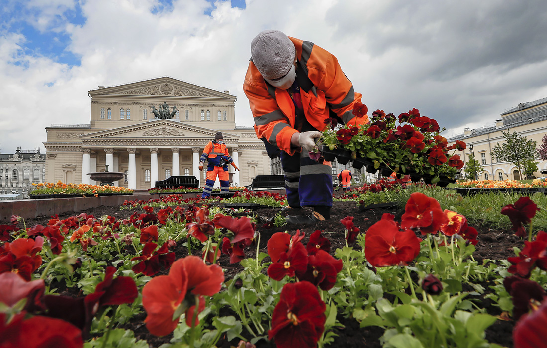 В Москве на площади у Большого театра начали высаживать цветы