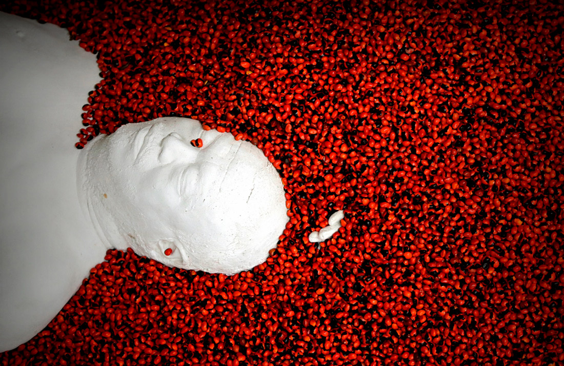 Выставка художника Ай Вэйвэя в Сан-Паулу