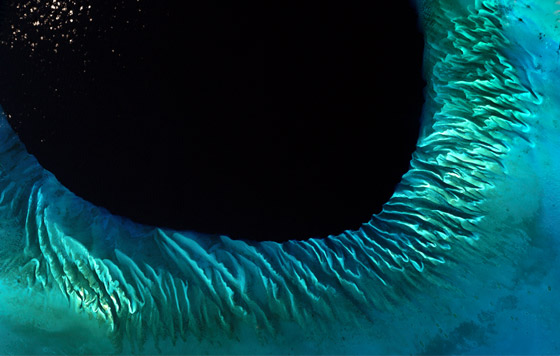 Лучшие фото недели