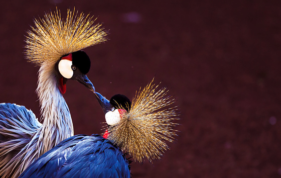 Лучшие фото недели