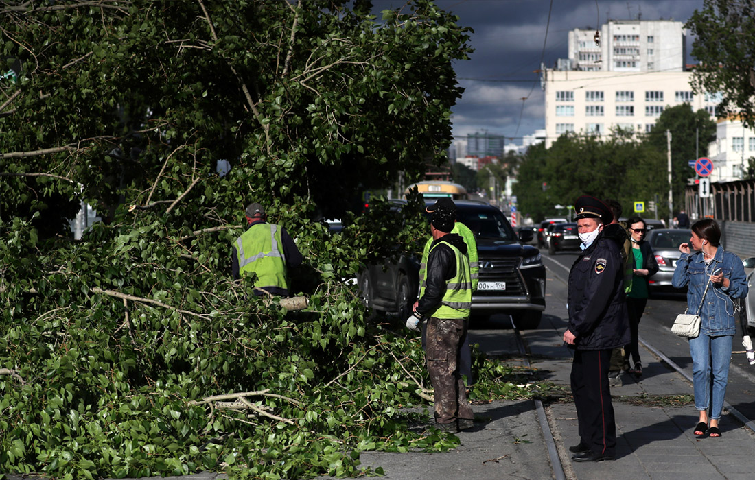 В Екатеринбурге ликвидируют последствия штормового ветра