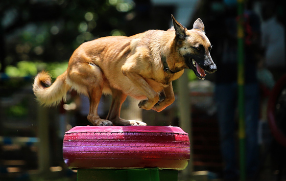 Фотохроника 26 мая