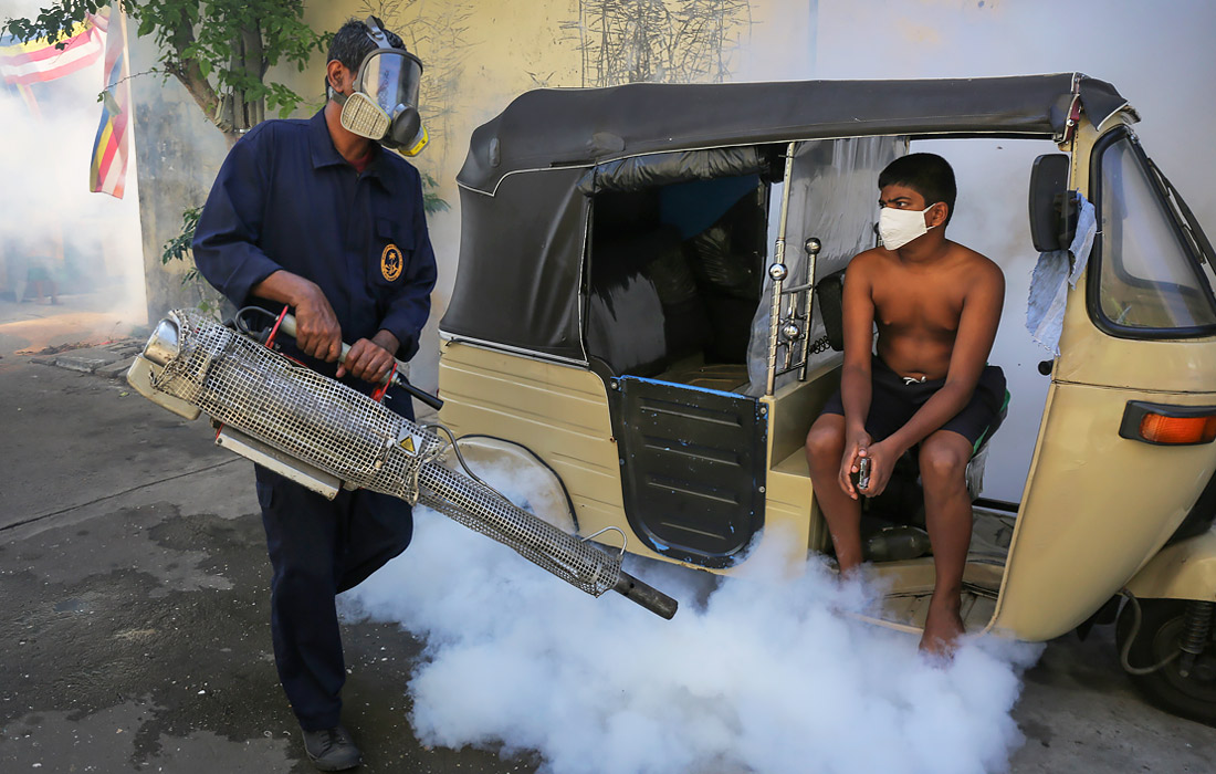 На Шри-Ланке усилена координация профилактических мер против распространения лихорадки Денге. Работники муниципальных служб распыляют на улицах специальные химикаты для уничтожения москитов.