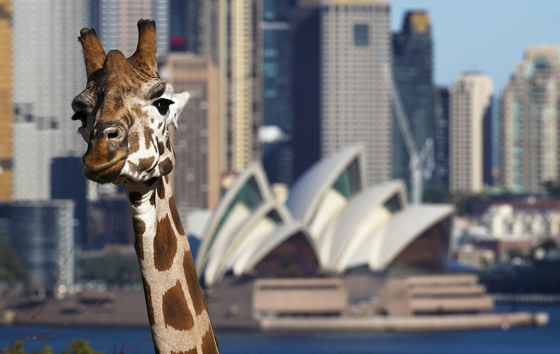 Лучшие фото недели