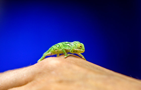 Лучшие фото недели